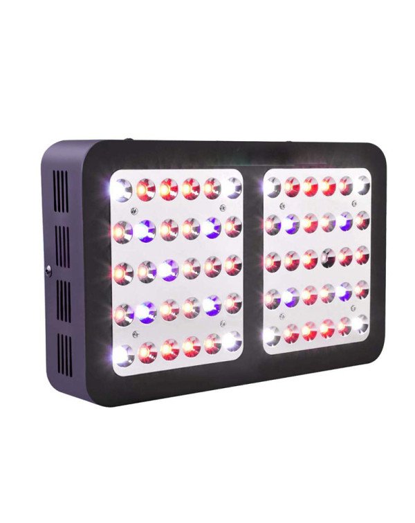 LED Grow light CLASSIC II-120W