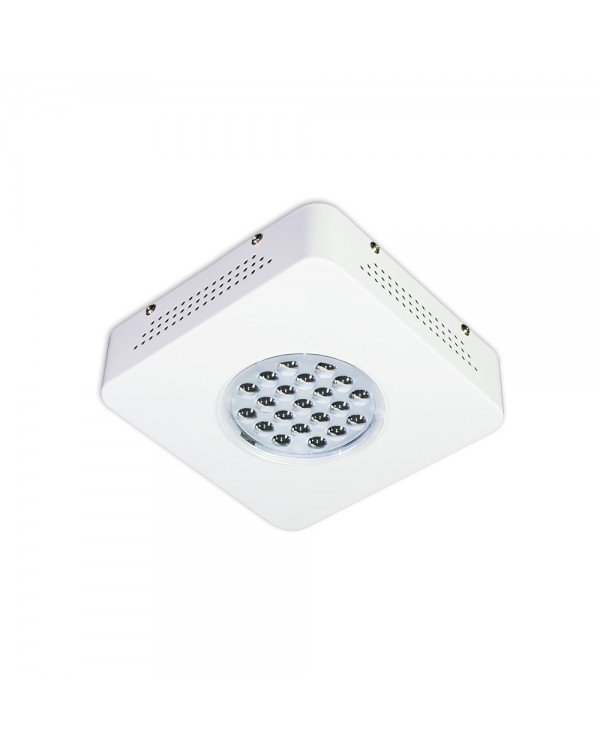 Grow Light-Sunny -60W