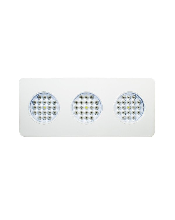 LED Grow light Sunny-180W