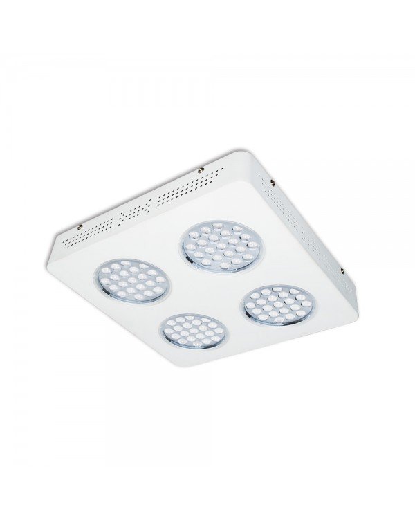 LED Grow light Sunny-240W